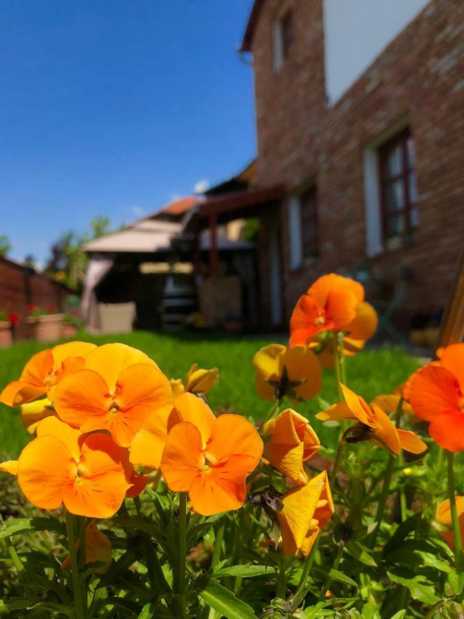 Janicsar Garden Apartman Эгер Экстерьер фото