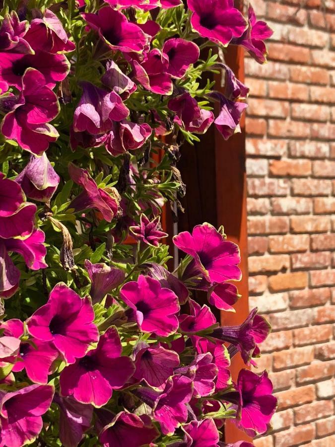Janicsar Garden Apartman Эгер Экстерьер фото